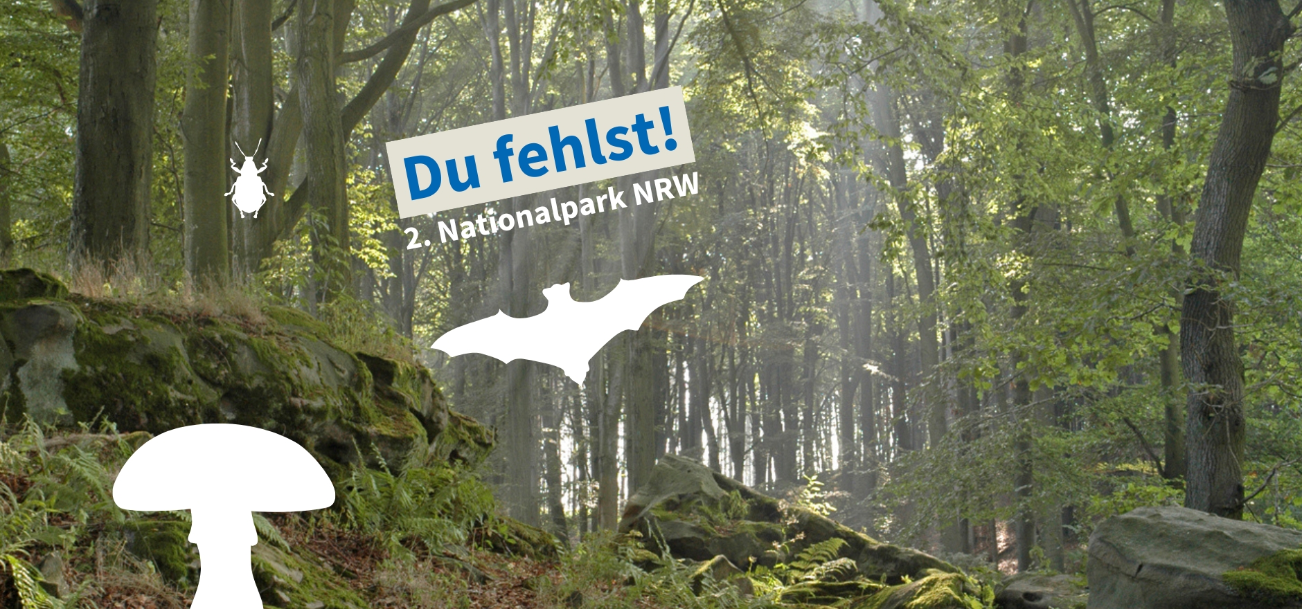 Setzen Sie sich für einen neuen Nationalpark in NRW ein!