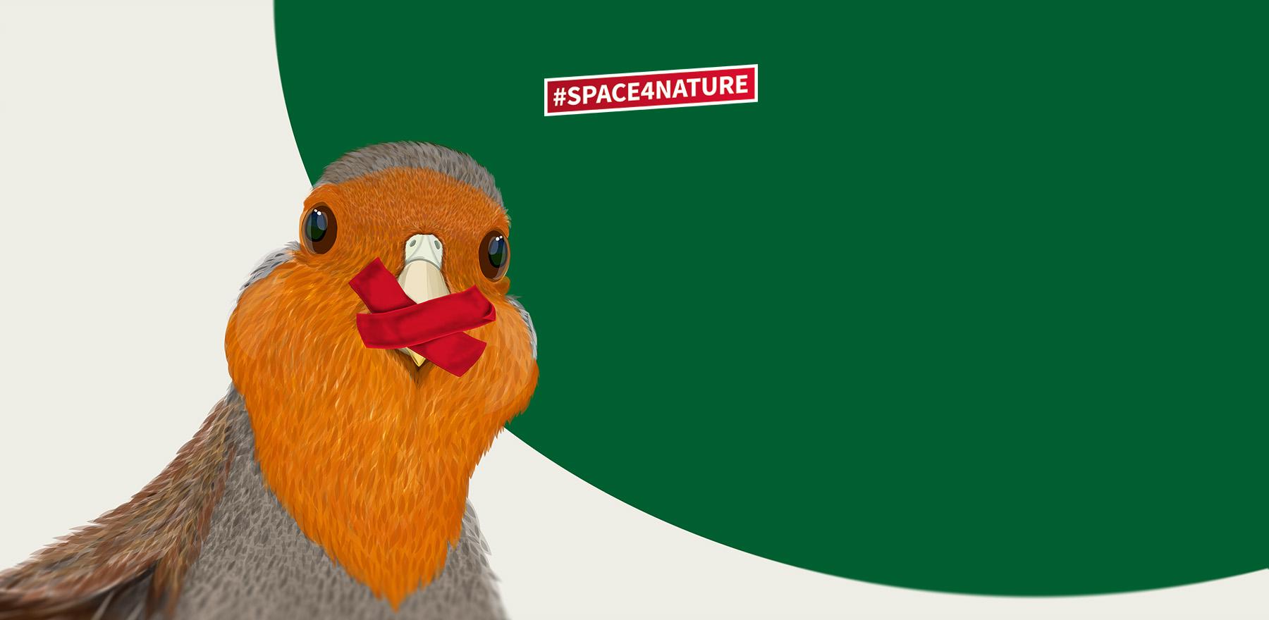 The grey partridge is at risk - let's get loud!