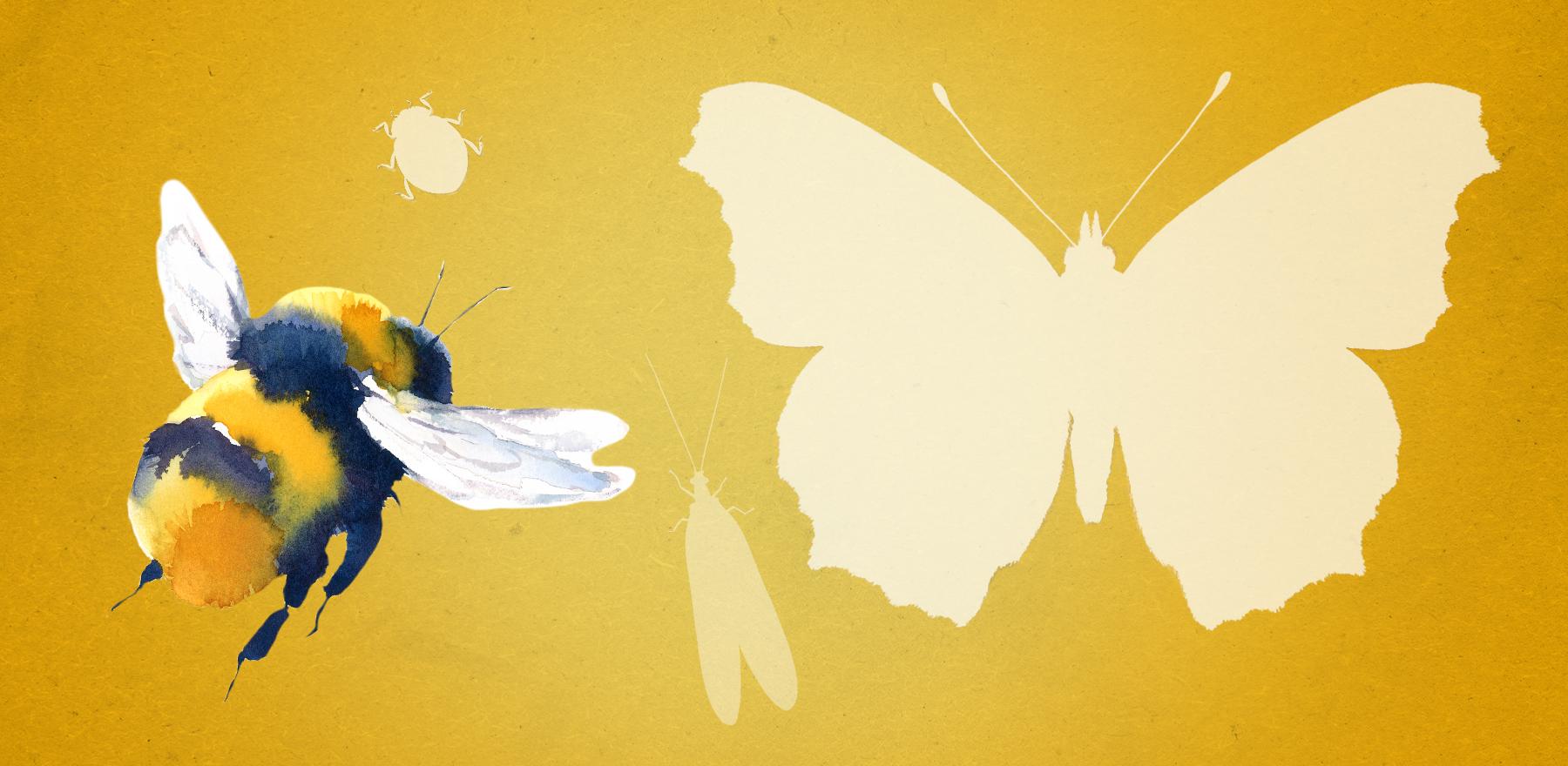 Jetzt Insekten & Co. retten!