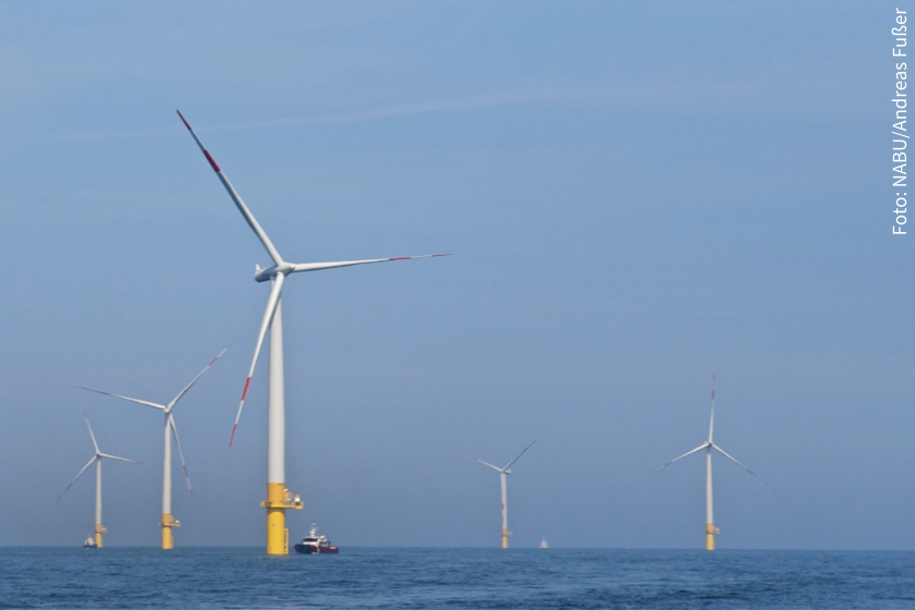 Wir brauchen einen naturverträglichen Ausbau der Windenergie
